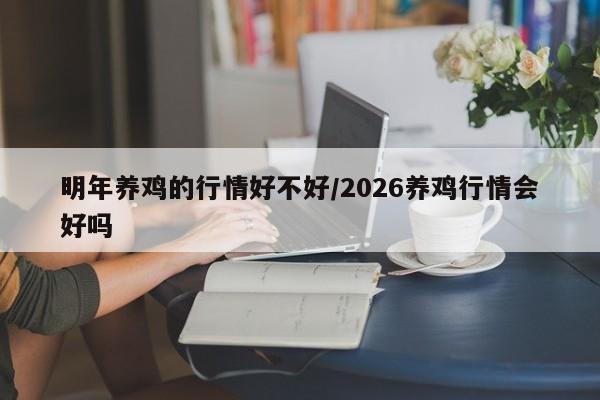 明年养鸡的行情好不好/2026养鸡行情会好吗