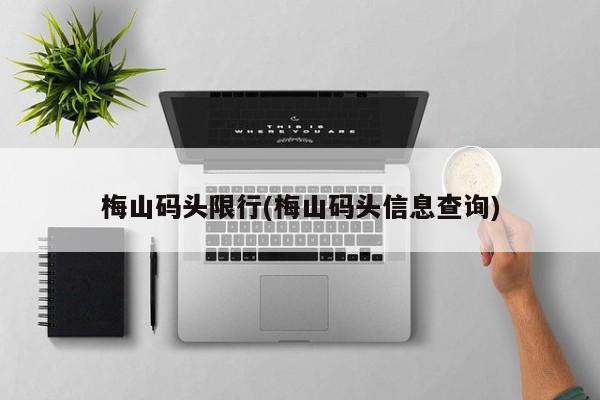 梅山码头限行(梅山码头信息查询)