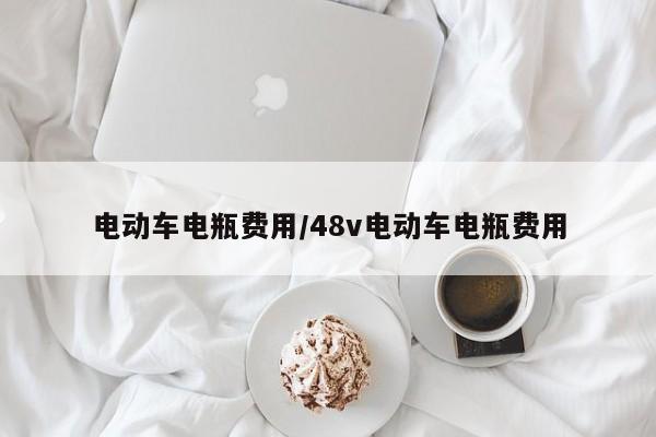 电动车电瓶费用/48v电动车电瓶费用