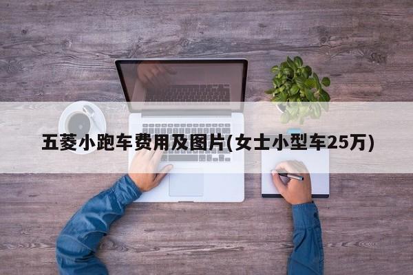 五菱小跑车费用及图片(女士小型车25万)