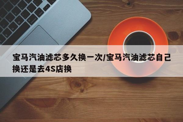 宝马汽油滤芯多久换一次/宝马汽油滤芯自己换还是去4S店换