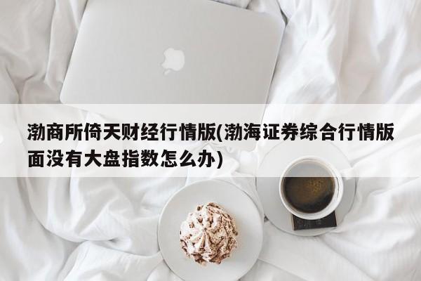 渤商所倚天财经行情版(渤海证券综合行情版面没有大盘指数怎么办)