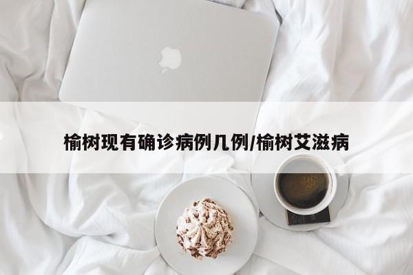 榆树现有确诊病例几例/榆树艾滋病