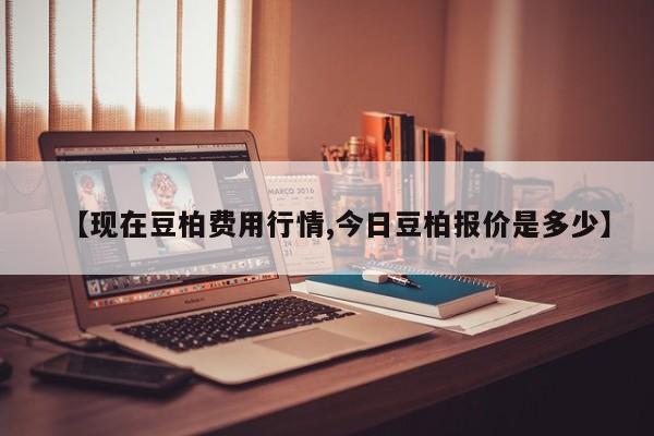 【现在豆柏费用行情,今日豆柏报价是多少】