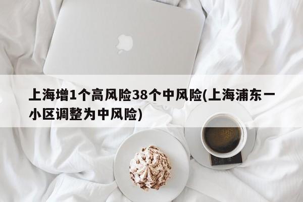 上海增1个高风险38个中风险(上海浦东一小区调整为中风险)