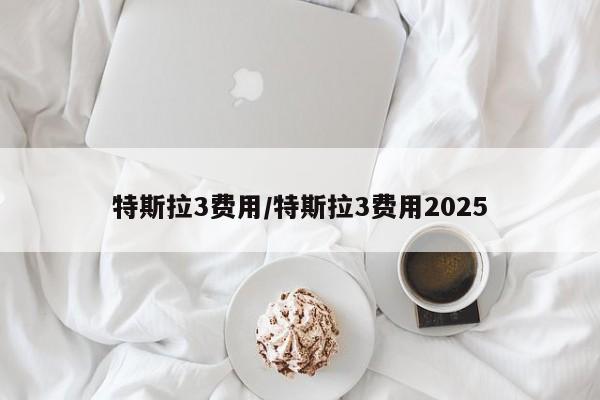 特斯拉3费用/特斯拉3费用2025