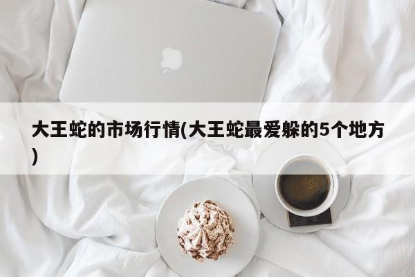 大王蛇的市场行情(大王蛇最爱躲的5个地方)