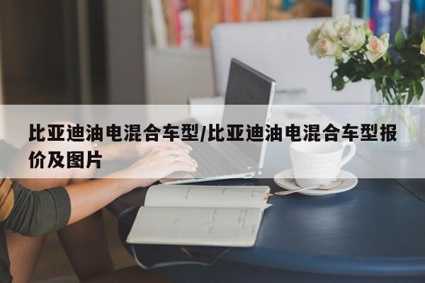 比亚迪油电混合车型/比亚迪油电混合车型报价及图片