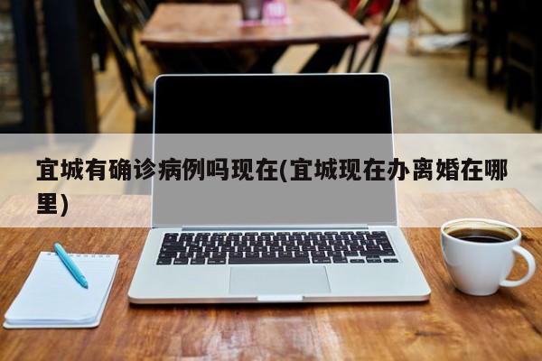 宜城有确诊病例吗现在(宜城现在办离婚在哪里)