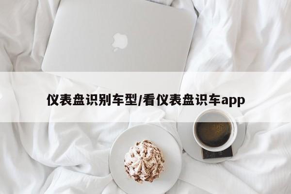 仪表盘识别车型/看仪表盘识车app